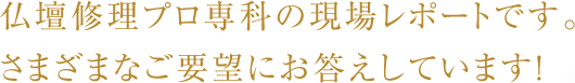 仏壇修理プロ専科の現場レポートです。さまざまなご要望にお答えしています!